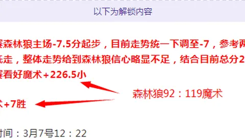 “雄狮队本土球员亮相，海外球员范迪三兄弟无缘本地联赛赛场”
